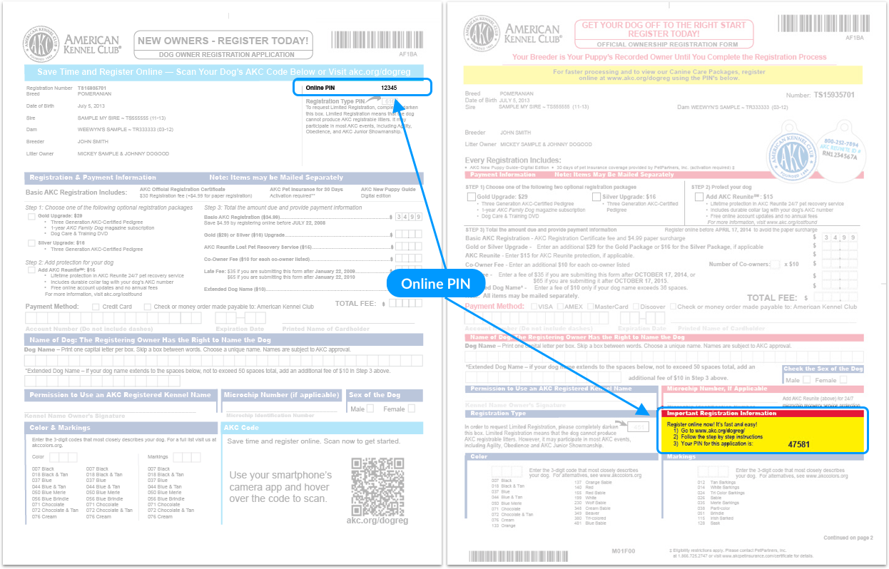 american kennel club dog registration