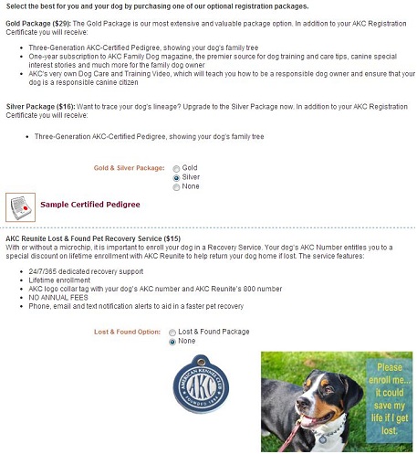 lost dog registration papers