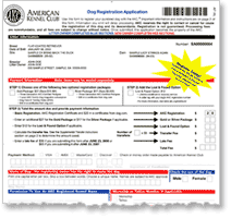 akc dog registration application