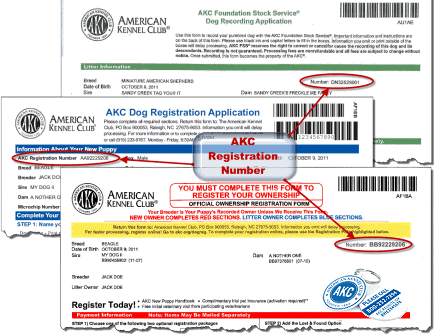 akc microchip registration