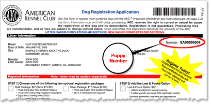 akc dog registration application