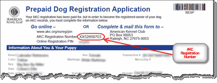 akc dog registration application
