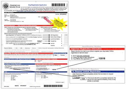 akc dog registration application