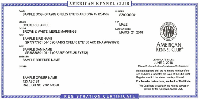 akc dog registration application